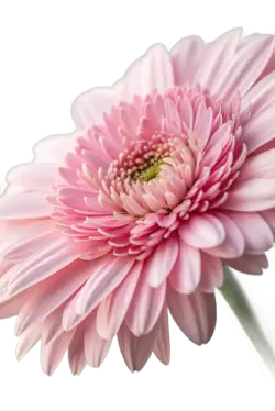 Imagen PNG para descargar